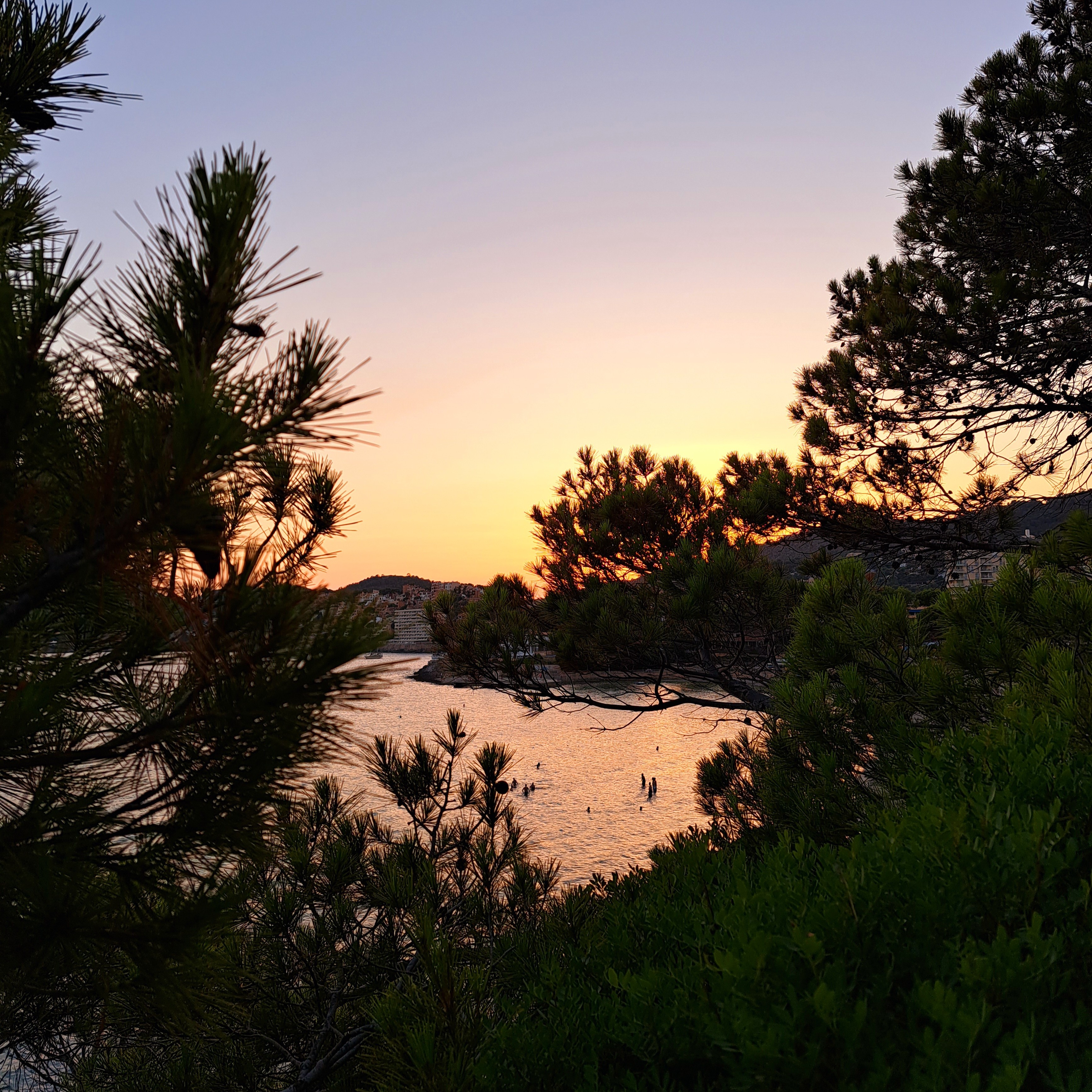 “Mallorca“